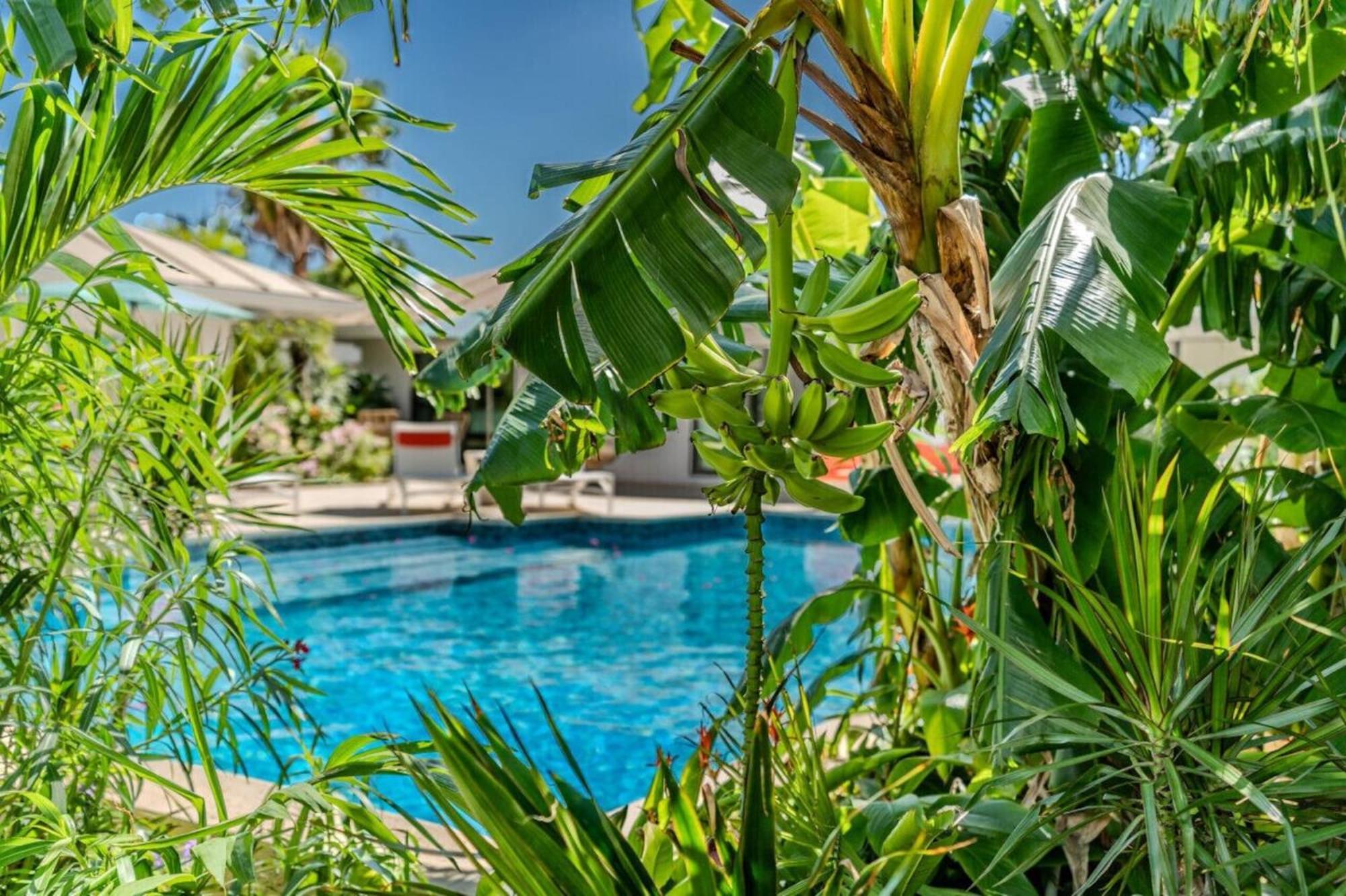 Royal Villa With A Huge Swimming Pool Cowell Battery Exterior foto