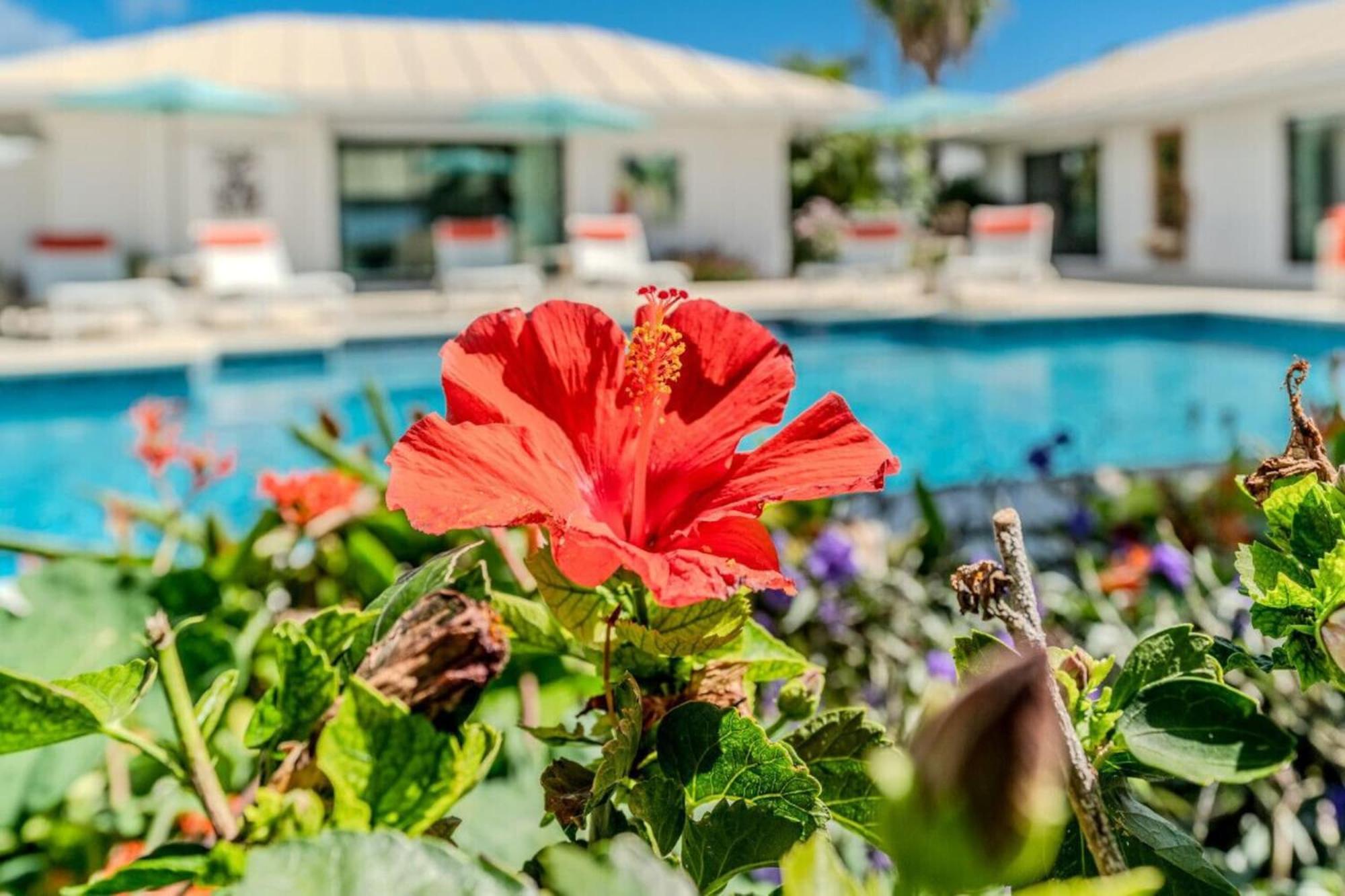Royal Villa With A Huge Swimming Pool Cowell Battery Exterior foto